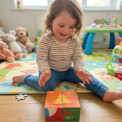 Crazy Cubes - Little Curious Shape Blocks